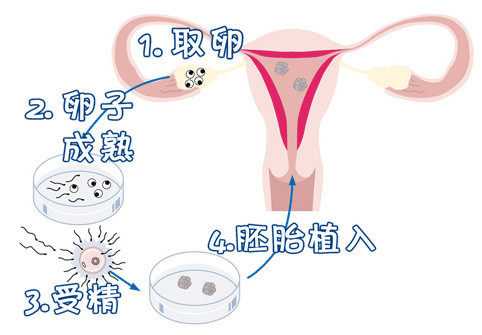 关于木棉医疗中心